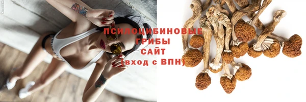 спиды Абинск