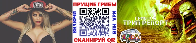 Галлюциногенные грибы ЛСД  купить  сайты  Гусь-Хрустальный 